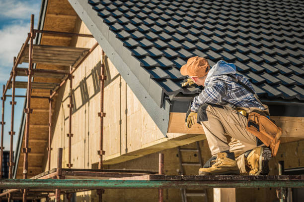 Best Solar Panel Roofing Installation  in St Hedwig, TX