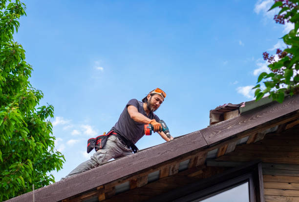 Best Steel Roofing  in St Hedwig, TX